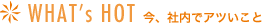 WHAT's HOT 今、社内でアツいこと